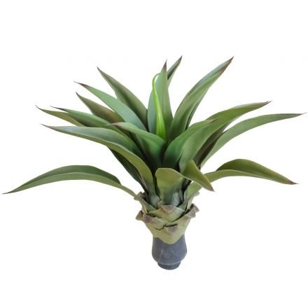 Uv Agave 50cm No Pot
