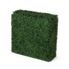 Portable Boxwood Hedge Uv Resistant 75cm X 75cm