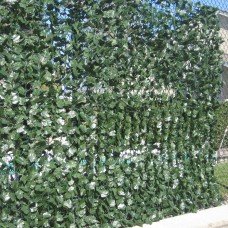 Double Sided Ivy Rolls 3m X 1m