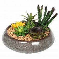 Potted Artificial Succulents With Round Decorative Bowl 19cm