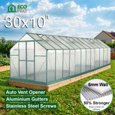 EcoPro 6mm Greenhouse 30 x 10ft 
