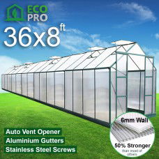 EcoPro 6mm 36 x 8ft Greenhouse