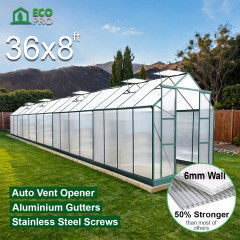 EcoPro 6mm 36 x 8ft Greenhouse