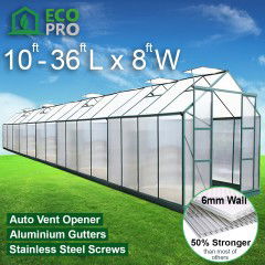 EcoPro 6mm 10-36ft Long x 8ft Wide Greenhouse